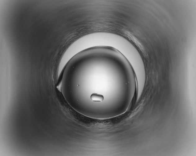 X0000095950209200801111356