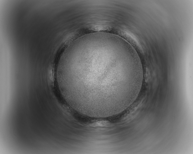 X0000095950210200801111356