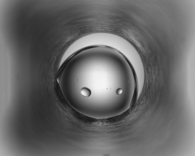 X0000095950211200801111356