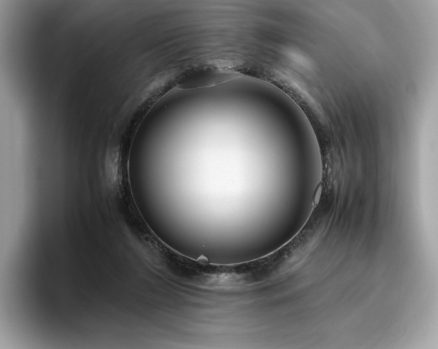 X0000095950212200801111356