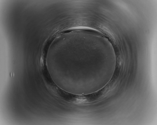 X0000095950214200801111356