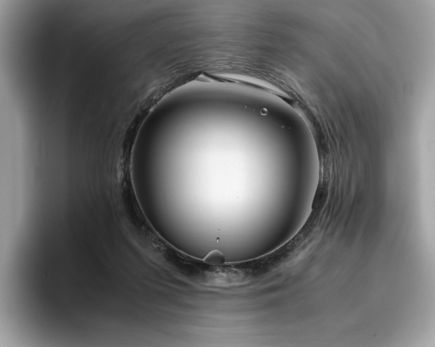 X0000095950215200801111356