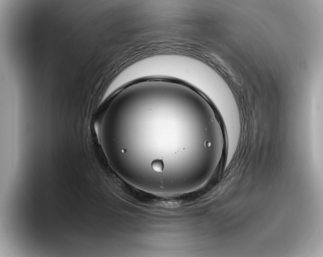 X0000095950217200801111356