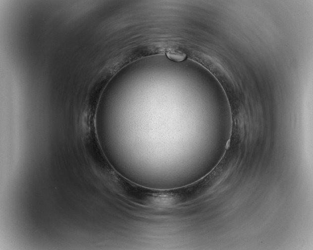 X0000095950218200801111356
