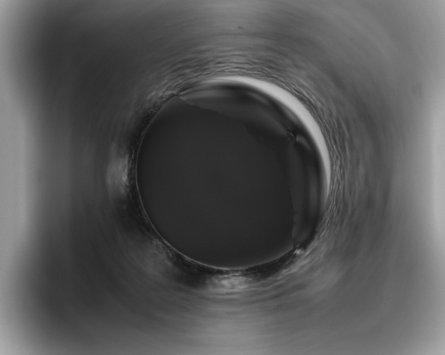 X0000095950219200801111356