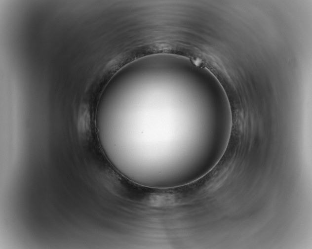 X0000095950220200801111356