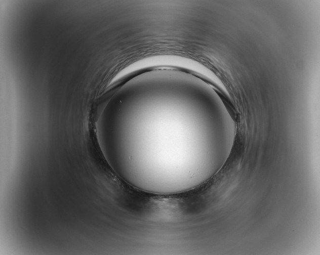 X0000095950221200801111356