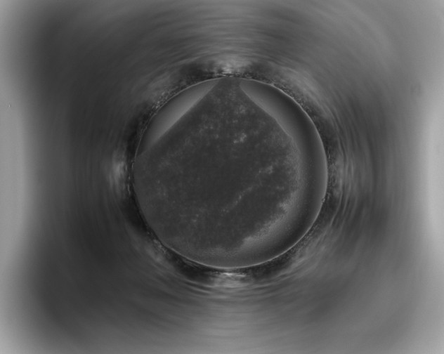 X0000095950222200801111356