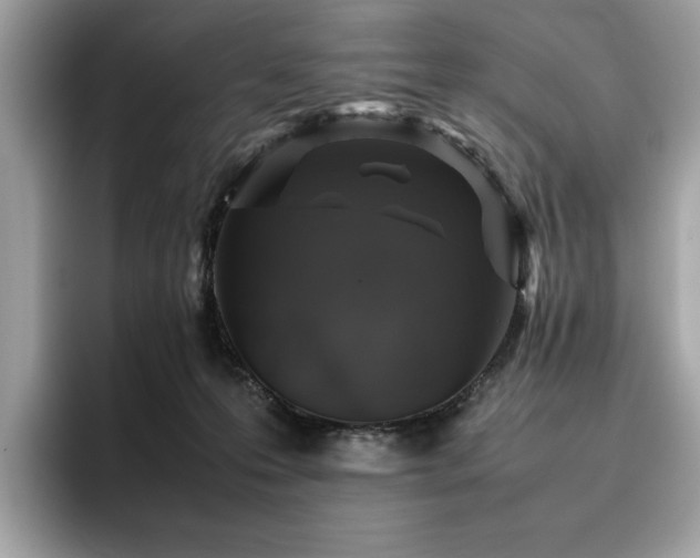 X0000095950223200801111356