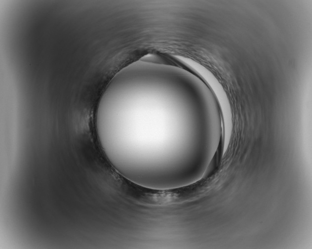 X0000095950225200801111356