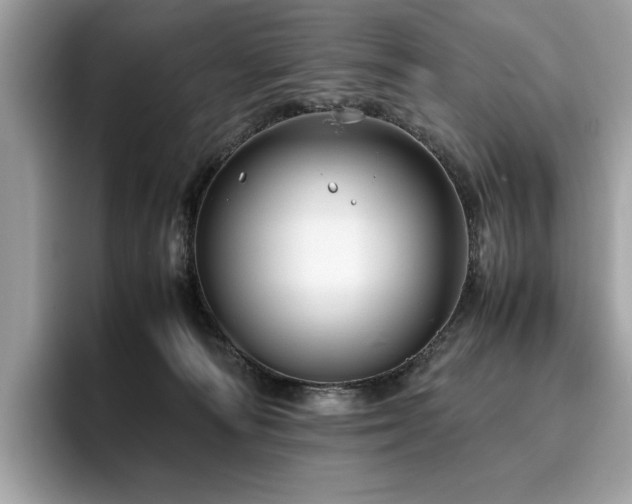 X0000095950226200801111356