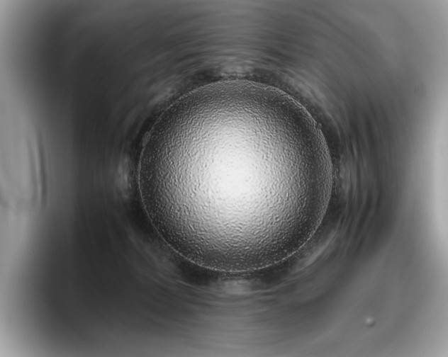 X0000095950228200801111356