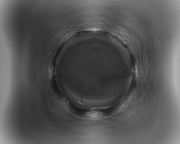 X0000095950231200801111356