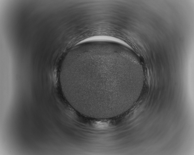 X0000095950232200801111356