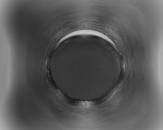 X0000095950233200801111356