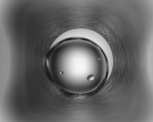 X0000095950235200801111356