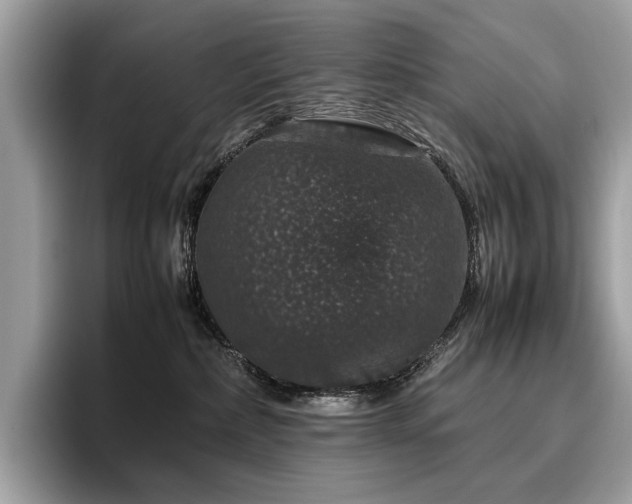 X0000095950236200801111356