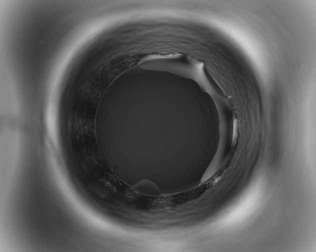 X0000095950239200801111356