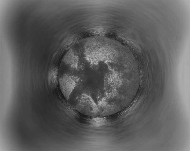 X0000095950240200801111356