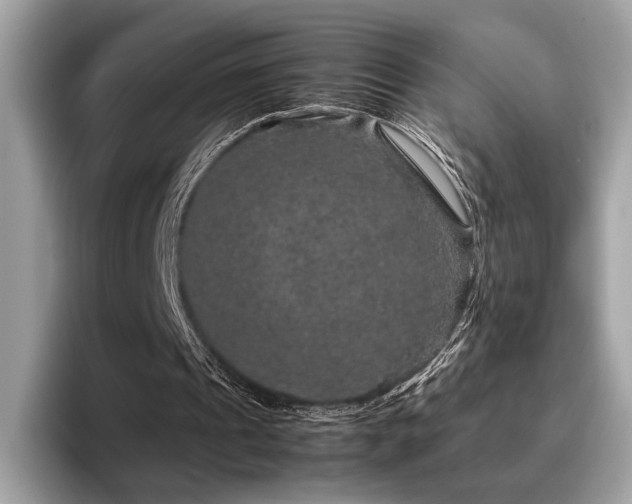 X0000095950241200801111355