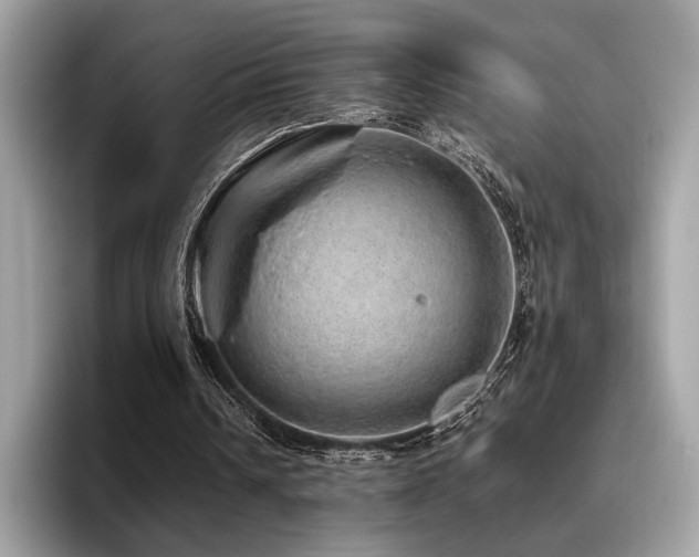 X0000095950242200801111355