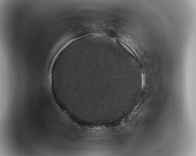 X0000095950243200801111355
