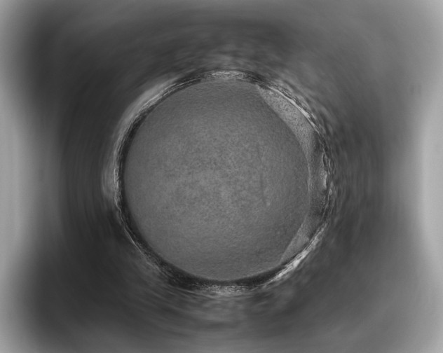 X0000095950245200801111355