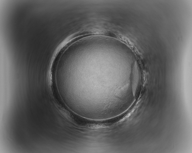 X0000095950246200801111355