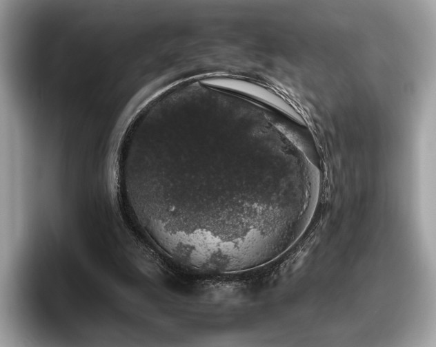 X0000095950247200801111355