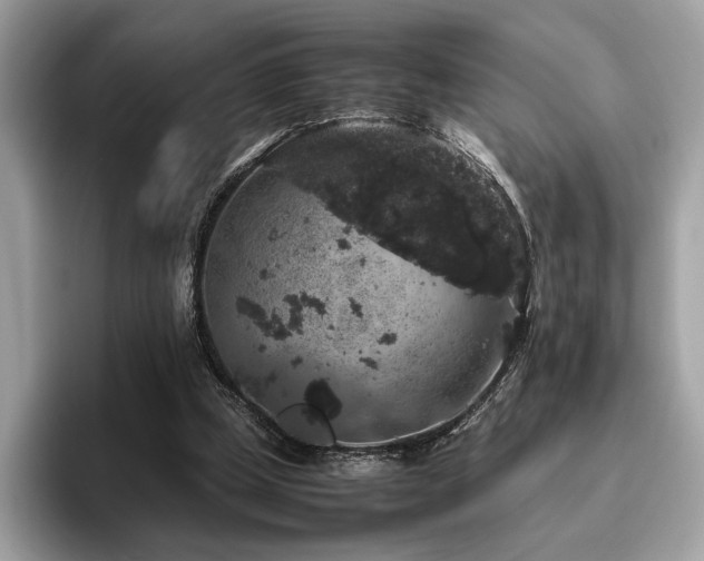 X0000095950249200801111355