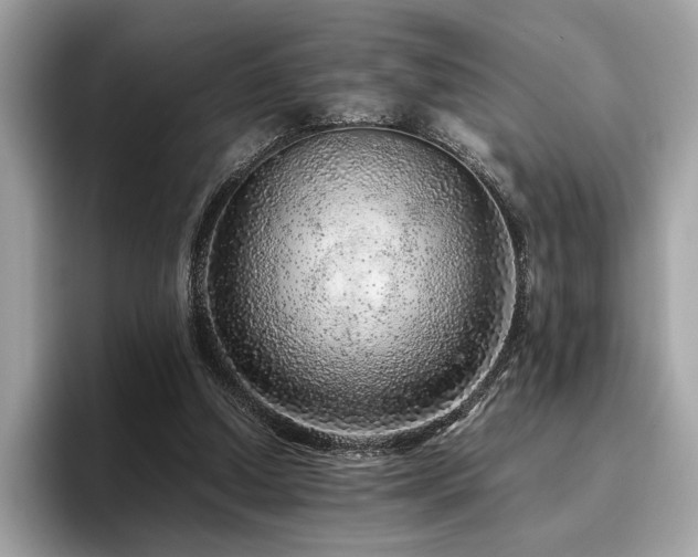 X0000095950250200801111355