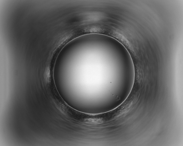 X0000095950251200801111355