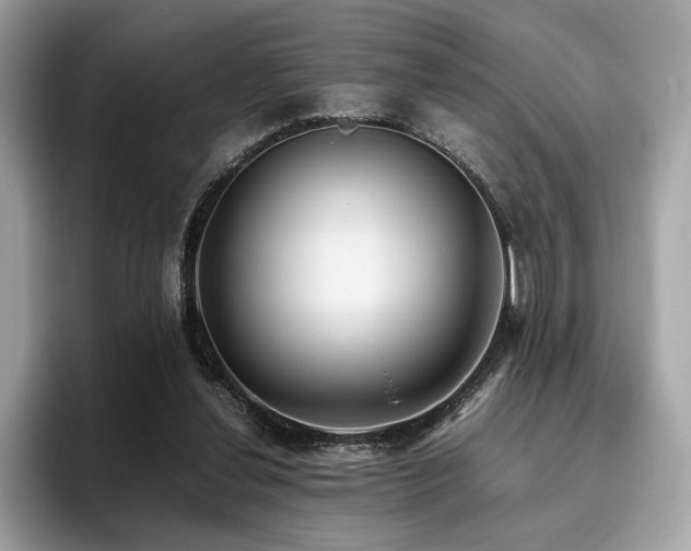 X0000095950252200801111355