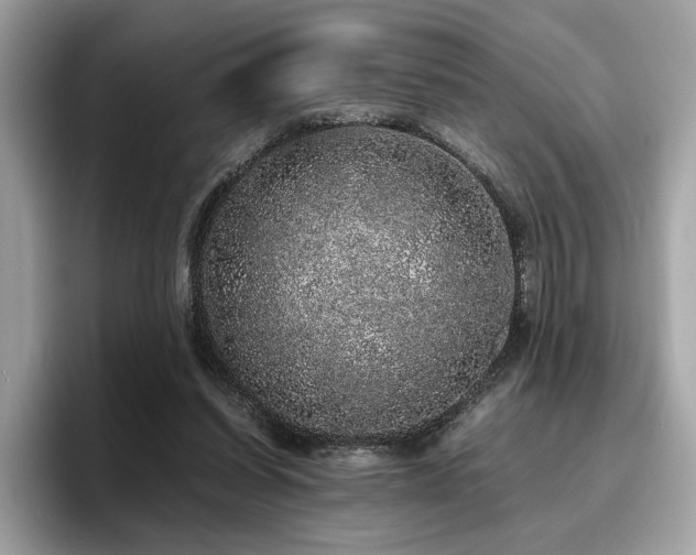 X0000095950254200801111355