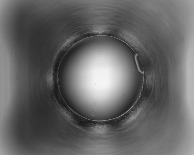 X0000095950256200801111355