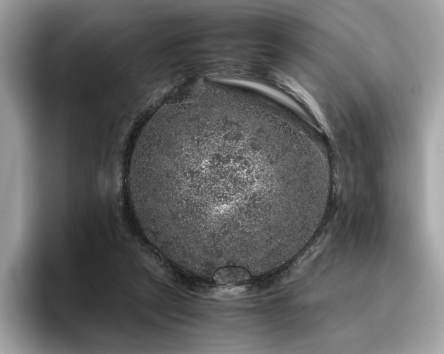 X0000095950257200801111355