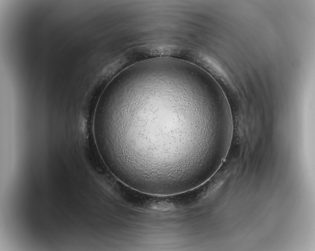 X0000095950258200801111355