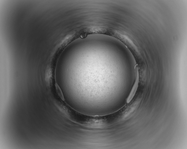 X0000095950260200801111356
