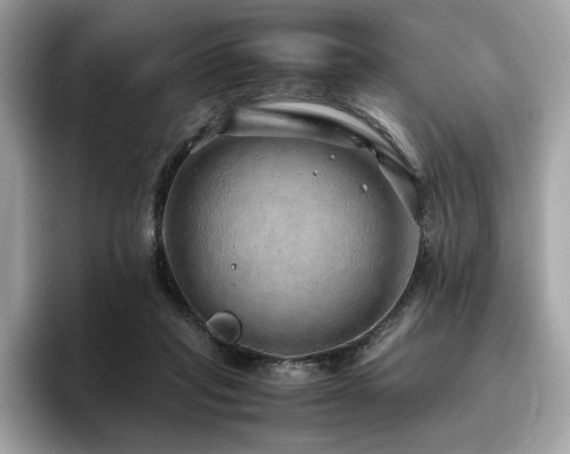 X0000095950261200801111356