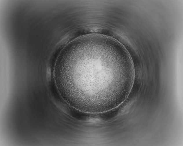X0000095950262200801111356