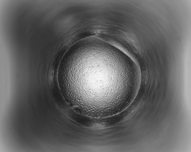 X0000095950263200801111356