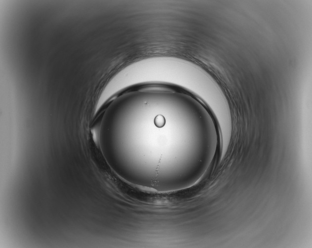 X0000095950264200801111356