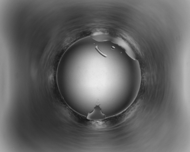 X0000095950265200801111356