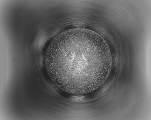 X0000095950266200801111356