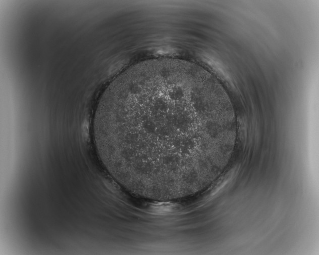 X0000095950269200801111356