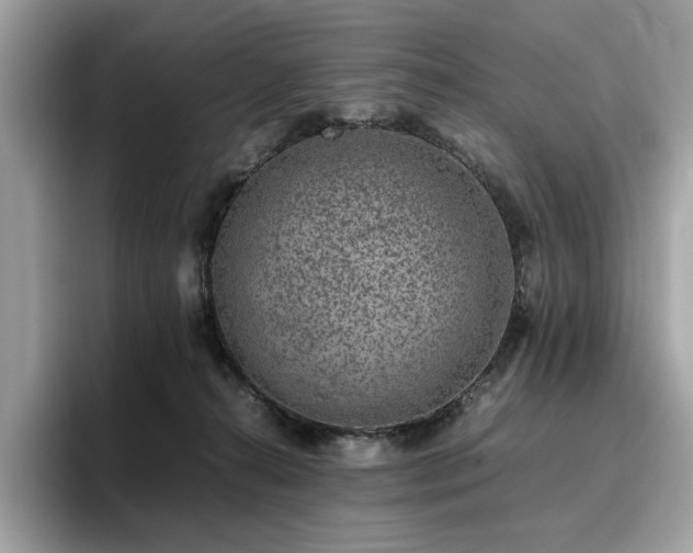 X0000095950272200801111356