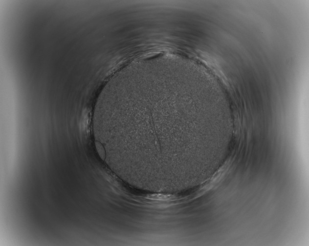 X0000095950273200801111356