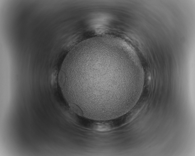 X0000095950275200801111356