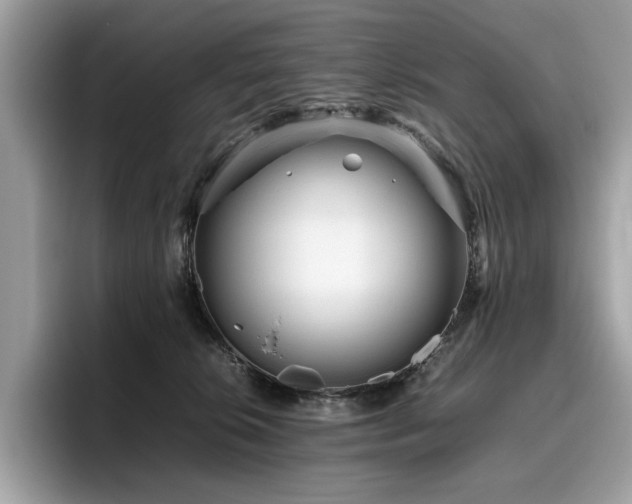 X0000095950276200801111356
