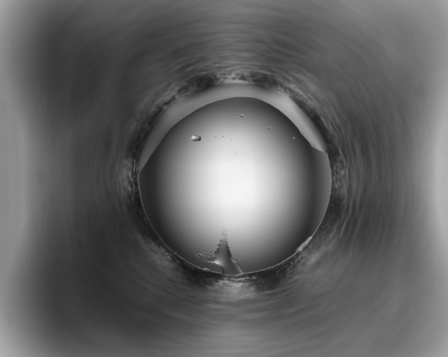 X0000095950280200801111356